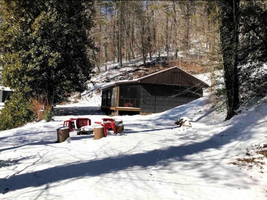 Cabin At The Cove At Watauga Lake Butler Экстерьер фото